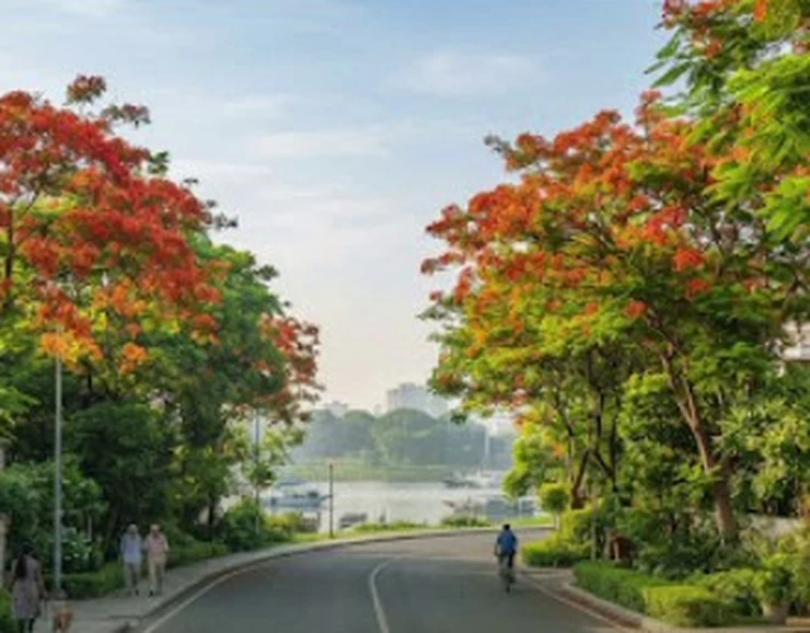 Tree-lined residential setting used as lifestyle inspiration